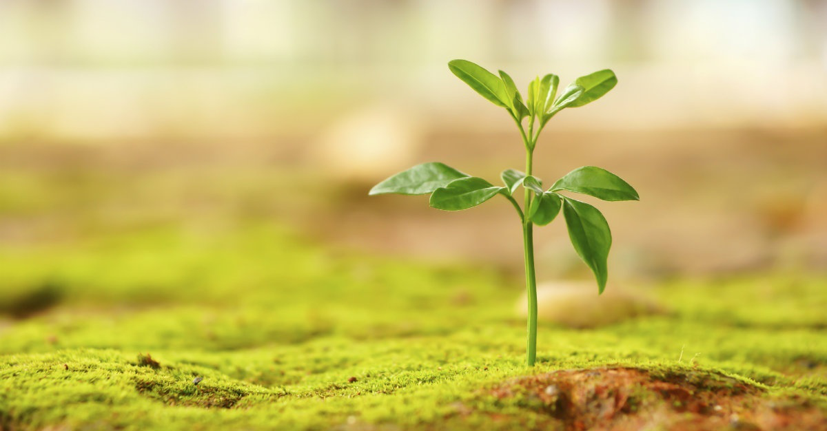 1532051017846301Yfvw.png 圖片166.png